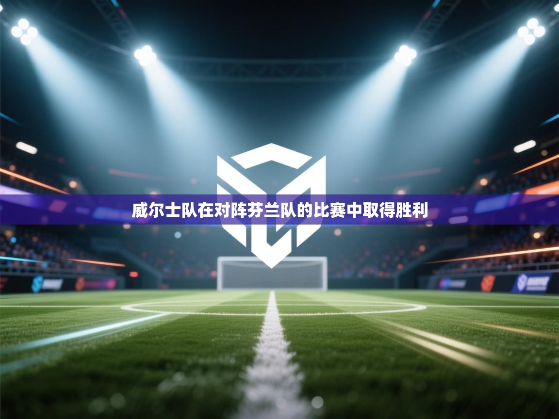 威尔士队在对阵芬兰队的比赛中取得胜利  第1张