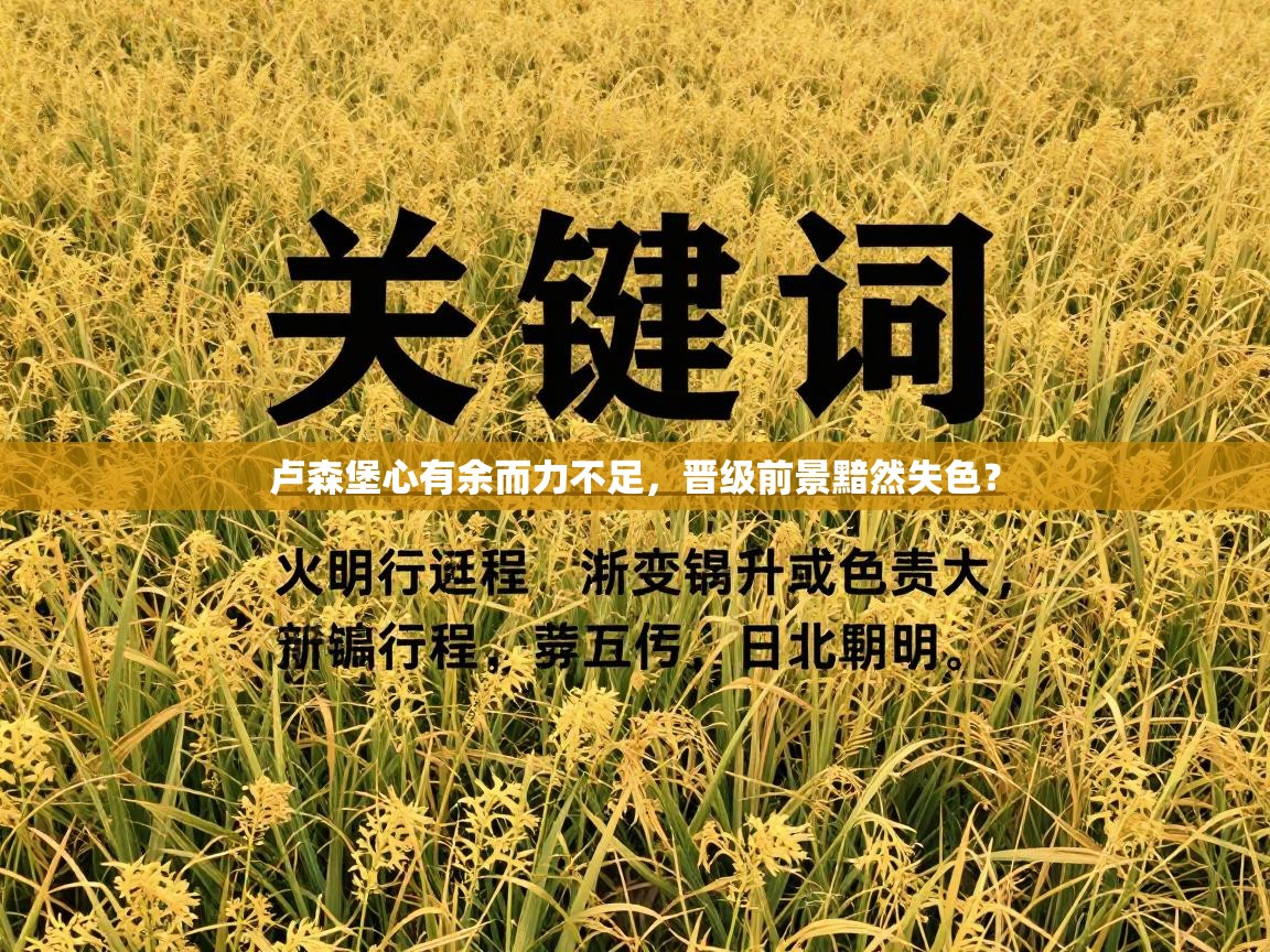 卢森堡心有余而力不足，晋级前景黯然失色？  第1张